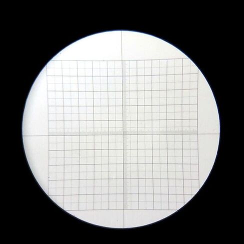 Microscope Accessories Kit Microscope Eyepiece Micrometer Diameter 20 Mm/ 24 Mm DIV=0.1 with Grid Cross Scale Reticle Microscope Slides (Color : Diameter 24 mm) in Saudi Arabia