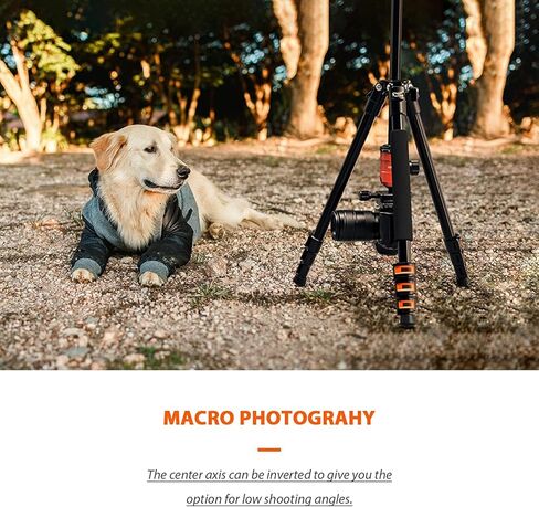 GEEKOTO Video Tripod Fluid Head، حامل ثلاثي للكاميرا احترافي لـ DSLR، Monopod ألومنيوم 77 بوصة - حامل ثلاثي للكاميرا لـ DSLR، حامل ثلاثي من الألومنيوم مدمج برأس كروي 360 درجة in Kuwait