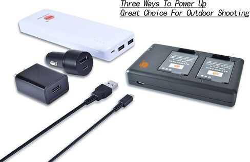 DSTE Replacement for 2X EN-EL12 Battery + Rapid Dual Charger with Micro USB Cable Compatible Nikon Coolpix A900 P340 S800c S1000PJ S9500 AW110s AW120s KeyMission 170 KeyMission 360 Camera in Saudi Arabia