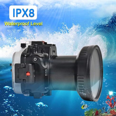 ضفادع البحر لـ Canon EOS-R 40 متر/130 قدم غطاء كاميرا الغوص مقاوم للماء in Saudi Arabia
