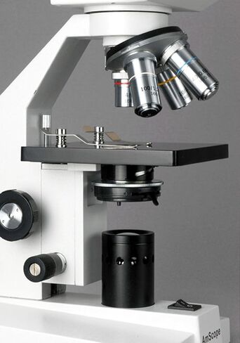 AmScope B100B Compound Binocular Microscope, 40X-2000X Magnification, Brightfield, Tungsten Illumination, Abbe Condenser, Plain Stage in Kuwait