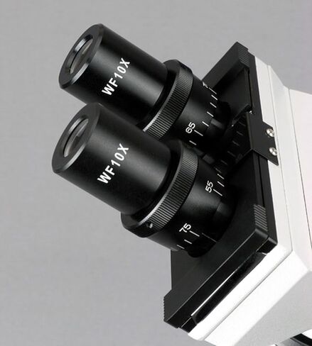 AmScope B100B Compound Binocular Microscope, 40X-2000X Magnification, Brightfield, Tungsten Illumination, Abbe Condenser, Plain Stage in Kuwait