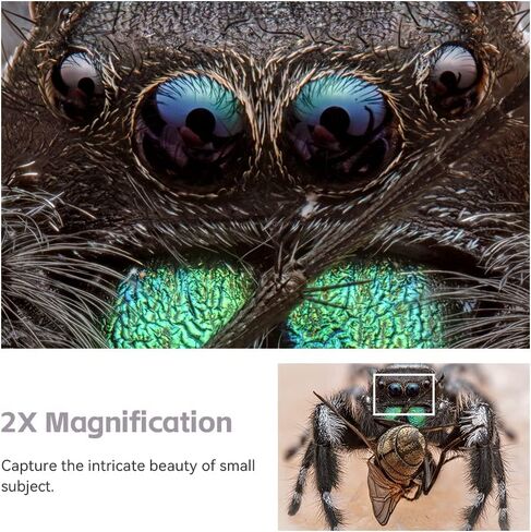 TTArtisan 100mm f2.8 Bubble Bokeh Full Frame Lens for M42 Mount, 100mm f/2.8 Manual Focus Prime Camera Lenses for M42 Screw Mount Compatible with Mirrorless SLR Mount with Adapter in Saudi Arabia
