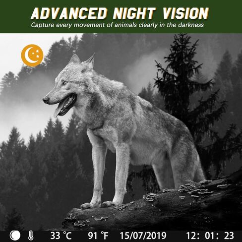 كاميرا BrightTop Trail 24MP 1080P مقاومة للماء للصيد وكاميرا مراقبة للحياة البرية وكاميرا للرؤية الليلية مع 3 أجهزة استشعار بالأشعة تحت الحمراء، مستشعر حركة مع سرعة تشغيل 0.2 ثانية in Kuwait