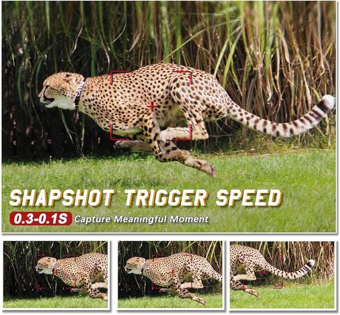 كاميرا BrightTop Trail 24MP 1080P مقاومة للماء للصيد وكاميرا مراقبة للحياة البرية وكاميرا للرؤية الليلية مع 3 أجهزة استشعار بالأشعة تحت الحمراء، مستشعر حركة مع سرعة تشغيل 0.2 ثانية in Kuwait