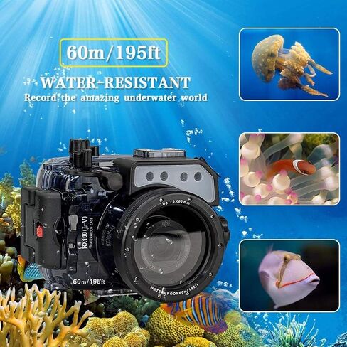 Seafrogs [60m/195ft] Underwater Camera Waterproof case w/Fisheye Wide Angle Lens Dome Port Kit for Sony RX100 I II III IV V RX100 M2 M3 M4 M5 in Saudi Arabia