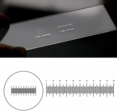 Microscope Accessories Kit 916 DIV 0.01mm Microscope Reticle Division of The Graticule Microscope Accessory Microscope Slides (Color : 1PC 916.T) in Saudi Arabia