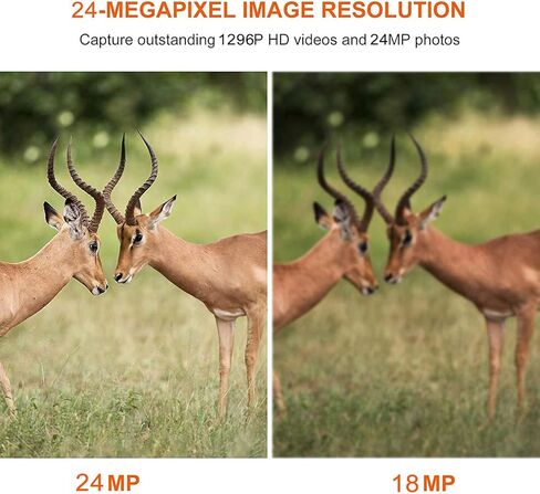 5-Pack HD Game & Deer Trail Cameras 24MP Photo 1296P MP4 Video Night Vision Motion Activated Waterproof No Glow for Outdoor Wildlife Hunting, Backyard Security, Animal Observation, Photo & Video Model in Kuwait