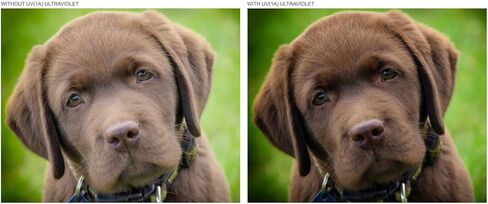 UV (Haze) 1A Multicoated | Multithreaded Glass Filter for Sony Cyber-Shot DSC-RX100 VI (Includes Filter/Lens Adapter) in Kuwait