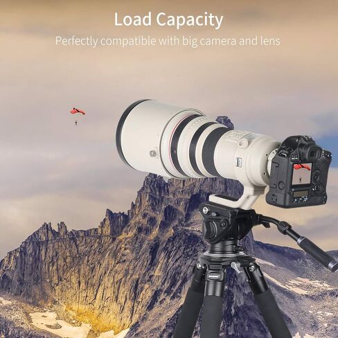 Video Camera Tripod Fluid Head-INNOREL F60,Professional Drag Pan Panoramic Fluid Head with 1/4" and 3/8" Screws Sliding Plate for DSLR Cameras,Camcorders, Telescope，Monopod,Max Load 22lbs (F60) in Saudi Arabia