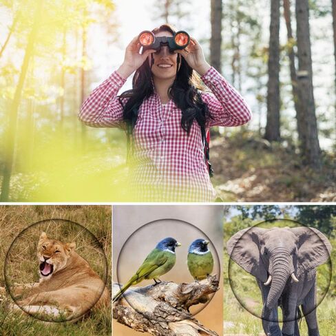 LXB 90000m Long Range Binoculars 80X80 Hd High Power Telescope Optical Glass Lens Low Light Night Vision Binoculars C/Black/S in Saudi Arabia