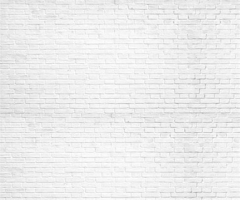 Kate 6.5×6.5ft Brick Wall Photography Backdrop Light Brick Photo Background Photo Studio Props for Photographer Pictures Videos in Kuwait