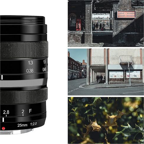 Meike 25mm F2.0 APS-C Large Aperture Wide Angle Manual Lens Compatible with Sony E Mount Mirrorless Cameras NEX 3 3N 5 NEX 5T NEX 5R NEX 6 7 A6400 A5000 A5100 A6000 A6100 A6300 A6500 A6600 in Saudi Arabia