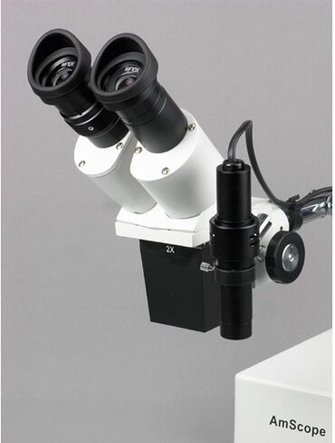 AmScope SE402Y Professional Binocular Stereo Microscope, WF10x and WF15x Eyepieces, 10X/15X/20X/30X Magnification, 1X and 2X Objectives, Tungsten Lighting, Boom-Arm Stand, 110V-120V in Saudi Arabia