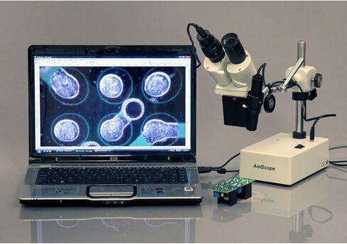 AmScope SE402Y Professional Binocular Stereo Microscope, WF10x and WF15x Eyepieces, 10X/15X/20X/30X Magnification, 1X and 2X Objectives, Tungsten Lighting, Boom-Arm Stand, 110V-120V in Saudi Arabia