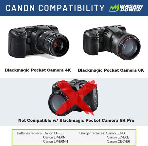 Wasabi Power LP-E6, LP-E6N Battery (2-Pack) and Charger for Canon EOS 5D Mark II/III/IV, 5DS, 5DS R, 6D, 6D Mark II, 7D, 7D Mark II, 60D, 70D, 80D, 90D, R, R5, R6, Ra, XC10, XC15, BMPCC 4K, BMPCC 6K in Saudi Arabia
