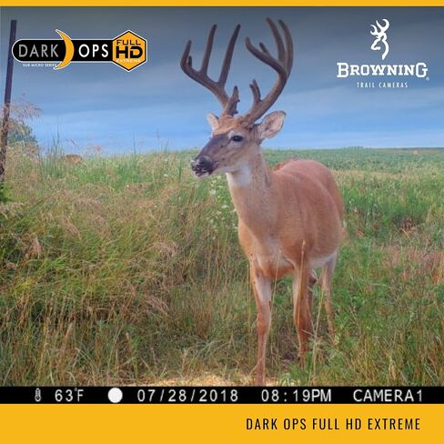 Browning Trail Cameras - Dark Ops Full HD Extreme - BTC-6FHDX - Game Camera, Wildlife Motion-Activated Camera in Saudi Arabia