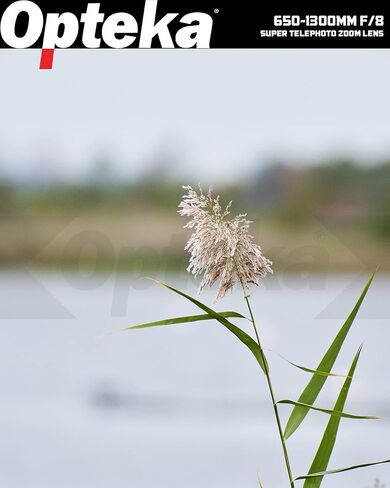 Opteka 650-1300mm (with 2X- 1300-2600mm) Telephoto Zoom Lens for Canon EF-Mount EOS 90D, 80D, 77D, 70D, 60D, 50D, 7D, 6D, 5D, 5DS, 1DS, T8, T8i, T7i, T7s, T7, T6s, T6i, T6, T5, SL3, SL2 DSLR Cameras in Kuwait