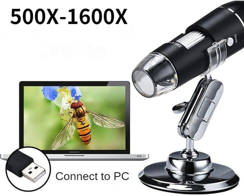 Lab Microscope Slides 1600X 1000X USB Digital Microscope for Electronics Microscope for USB Electronic Magnifier Camera Microscope Parts (Size : 500X) in Kuwait