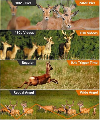 وينغ هوم كاميرا خلوية 480 ايس 4G IP66 مقاومة للماء للصيد بدقة 1080P مع زناد بزاوية عريضة 52 درجة 0.4 ثانية، حركة رؤية ليلية بدون توهج مع بطاقة SD 32G لمراقبة الحياة البرية والتحكم عبر التطبيق in Kuwait