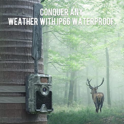 وينغ هوم كاميرا خلوية 480 ايس 4G IP66 مقاومة للماء للصيد بدقة 1080P مع زناد بزاوية عريضة 52 درجة 0.4 ثانية، حركة رؤية ليلية بدون توهج مع بطاقة SD 32G لمراقبة الحياة البرية والتحكم عبر التطبيق in Kuwait