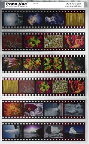 Pana-Vue Archival Negative Pages for 35mm - Holds 24 Frames (6 Strips of 4 Frames). 100 Pack in Kuwait