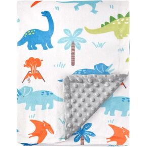 HOMRITAR Baby Blanket for Kids Super Soft Minky Blanket with Dotted Backing, Toddler Blanket with Dinosaurs Multicolor Printed 30 x 40 inch (75 x 100 cm)