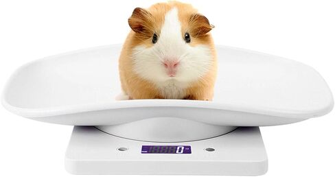 Small Pet Scale, Baby Scale 10kg/1g Digital Small Pet Weight Scale Multi-Function Baby Scale for Dog Cat Hatching and Food Weighing, Measure Tool Electronic Kitchen Scale in Kuwait