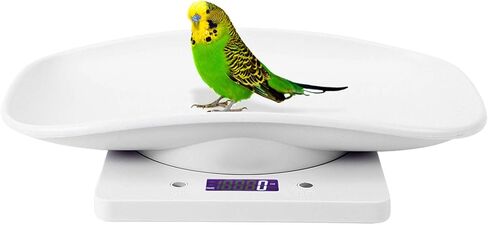 Small Pet Scale, Baby Scale 10kg/1g Digital Small Pet Weight Scale Multi-Function Baby Scale for Dog Cat Hatching and Food Weighing, Measure Tool Electronic Kitchen Scale in Kuwait