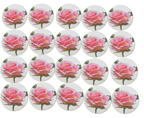 Novel Merk Pink Rose Flower Vinyl Stickers - 2" Round Individual Decals for Laptop, Water Bottle, Phone, Party Favors, & Decor - Adheres to Clean Surfaces Waterproof & Repositionable (20 Pack) in Saudi Arabia