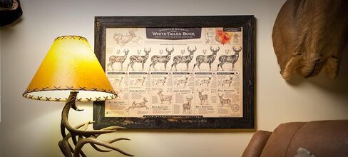 "The Growth and Maturity of the White-tailed Buck" Paper Print in Saudi Arabia