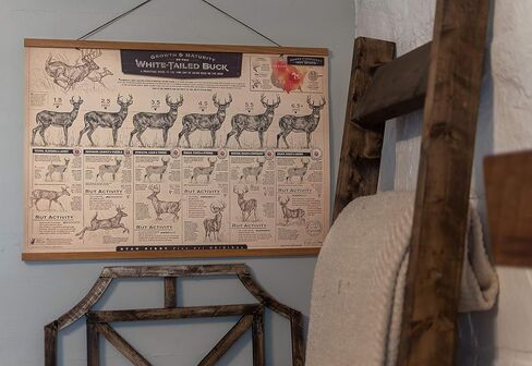 "The Growth and Maturity of the White-tailed Buck" Paper Print in Saudi Arabia