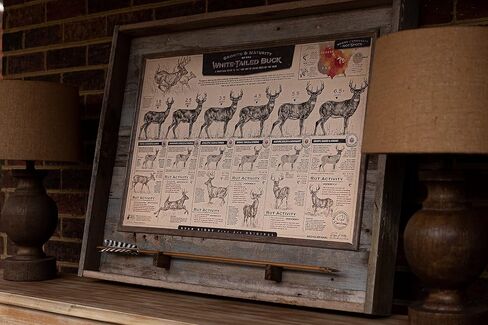 "The Growth and Maturity of the White-tailed Buck" Paper Print in Saudi Arabia