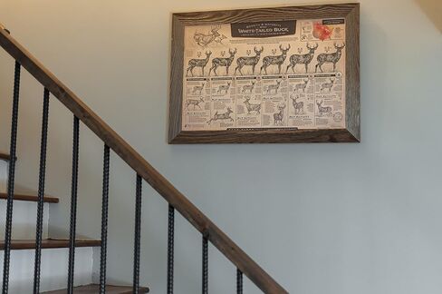 "The Growth and Maturity of the White-tailed Buck" Paper Print in Saudi Arabia