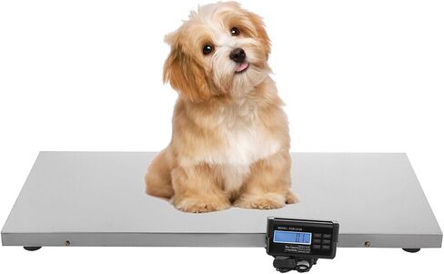 2 Measure Mode Digital Livestock Scale Large Pet Vet Scale Stainless Steel Platform Large Pet Vet Scale Veterinary Animal Scale Postal Parcel Weighing Equipment for Dog Goat Pig Sheep Calf 660lbs in Kuwait