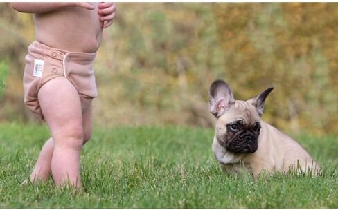 جروفيا سبايس بوتاه O.N.E. حفاضات أطفال قماشية الكل في واحد قابلة لإعادة الاستخدام in Kuwait