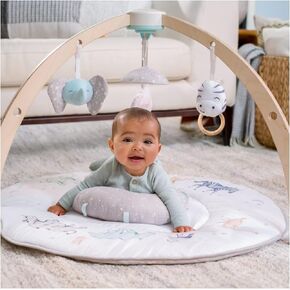 aden + anais صالة الألعاب الرياضية Play and Discover للأطفال - أكثر من 30 فائدة تنموية - 3 ألعاب قابلة للربط + وسادة قطيفة لوقت الاستلقاء على البطن - 100% قطن موسلين - يمكن غسلها في الغسالة