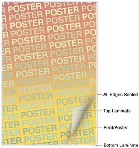 Laminated Collection Monkey Species Gorilla Chimpanzees Apes Cute Illustrated Cartoon Large Dry Erase Sign 54x36 in Kuwait