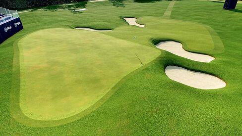 EA Sports PGA Tour : Standard - Steam PC [Online Game Code] in Saudi Arabia