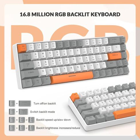 ZIYOU LANG RK-T8 Wired 65% Mechanical Gaming Keyboard with RGB LED Backlit Anti-ghosting TKL Mini 68 Key Custom Coiled C to A Cable Tactile Blue Switch for PS4 PS5 Xbox PC Mac Gamer(Dark Gray/White) in Saudi Arabia