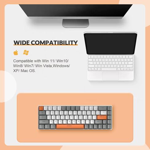 ZIYOU LANG RK-T8 Wired 65% Mechanical Gaming Keyboard with RGB LED Backlit Anti-ghosting TKL Mini 68 Key Custom Coiled C to A Cable Tactile Blue Switch for PS4 PS5 Xbox PC Mac Gamer(Dark Gray/White) in Saudi Arabia