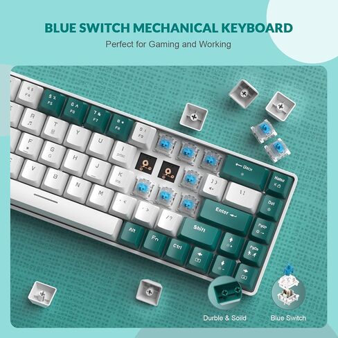 ZIYOU LANG RK-T8 Wired 65% Mechanical Gaming Keyboard with RGB LED Backlit Anti-ghosting TKL Mini 68 Key Custom Coiled C to A Cable Tactile Blue Switch for PS4 PS5 Xbox PC Mac Gamer(Dark Gray/White) in Saudi Arabia