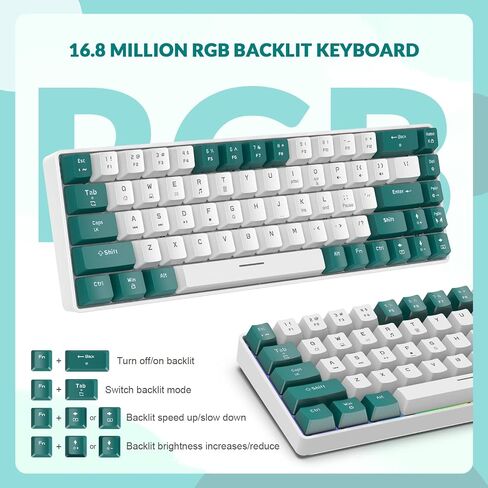 ZIYOU LANG RK-T8 Wired 65% Mechanical Gaming Keyboard with RGB LED Backlit Anti-ghosting TKL Mini 68 Key Custom Coiled C to A Cable Tactile Blue Switch for PS4 PS5 Xbox PC Mac Gamer(Dark Gray/White) in Saudi Arabia