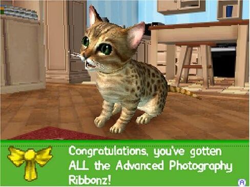 Petz Catz 2 - PlayStation 2 in Saudi Arabia
