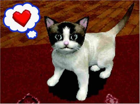 Petz Catz 2 - PlayStation 2 in Saudi Arabia