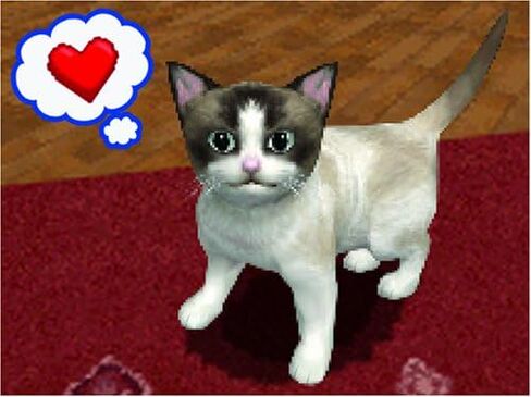 Petz Catz 2 - PlayStation 2 in Saudi Arabia