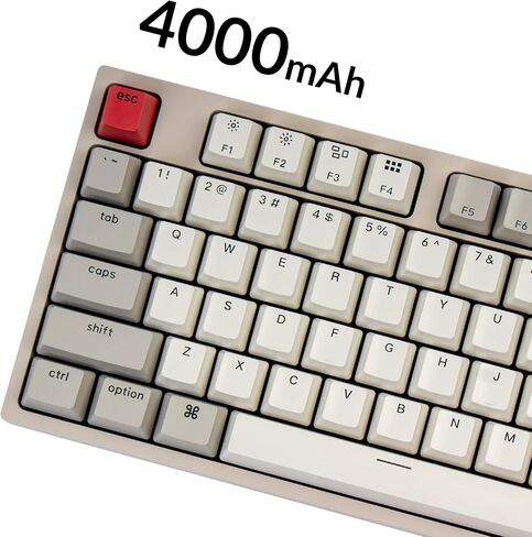 Keychron C1 Hot-swappable Wired Mechanical Keyboard for Mac Layout, Keychron Mechanical Red Switch/USB Type-C Cable/Double-Shot ABS Keycaps Tenkeyless 87 Keys Computer Keyboard for Windows PC in Saudi Arabia