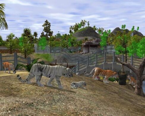Wildlife Zoo - PC in Saudi Arabia