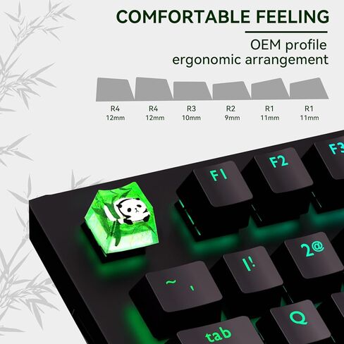 ايكيسي اغطية مفاتيح من الراتنج بتصميم باندا مع غطاء مفاتيح مخصص من الخيزران لمفاتيح تشيري ام اكس الميكانيكية للالعاب، غطاء مفاتيح باضاءة خلفية شفافة R4، هدية لمحبي العاب الكمبيوتر in Kuwait