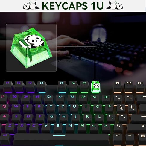 ايكيسي اغطية مفاتيح من الراتنج بتصميم باندا مع غطاء مفاتيح مخصص من الخيزران لمفاتيح تشيري ام اكس الميكانيكية للالعاب، غطاء مفاتيح باضاءة خلفية شفافة R4، هدية لمحبي العاب الكمبيوتر in Kuwait